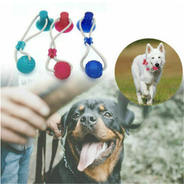Pet Interactive Suction Cup Elastic Rope